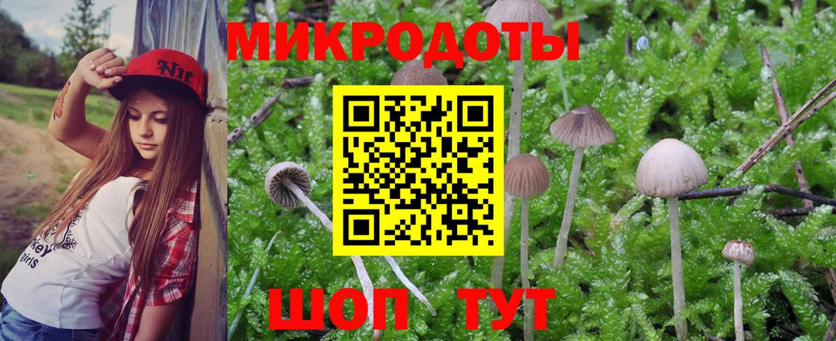 Галлюциногенные грибы ЛСД  закладка  Галлюциногенные грибы Psilocybe  Донской  Вход с VPN 